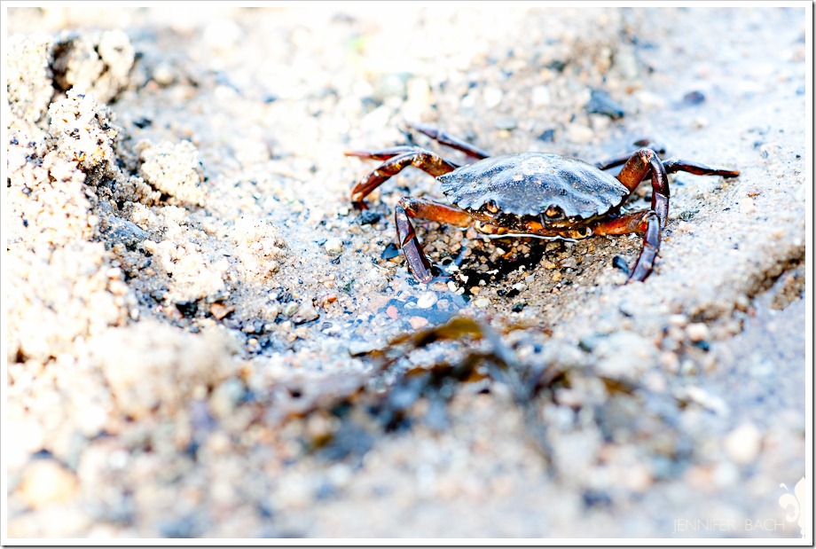 Noank-20100814-6