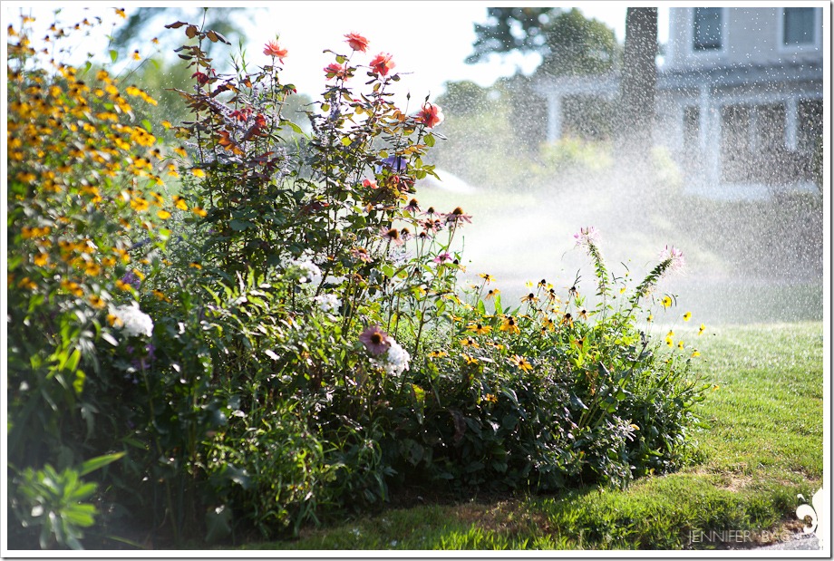 Noank-20100814-7